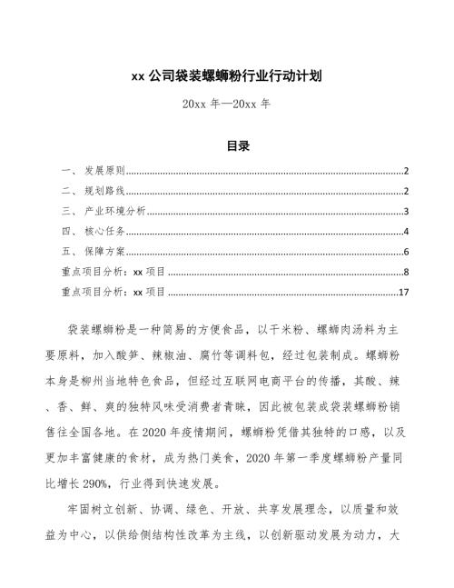 xx公司袋装螺蛳粉行业行动计划审阅稿.docx