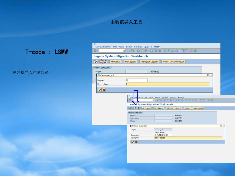 SAPLSMW详细教程.pptx_第2页