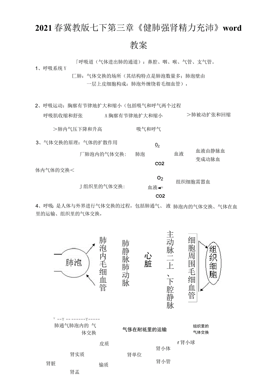 2021年春冀教版七下第三章健肺强肾精力充沛教案.docx_第1页