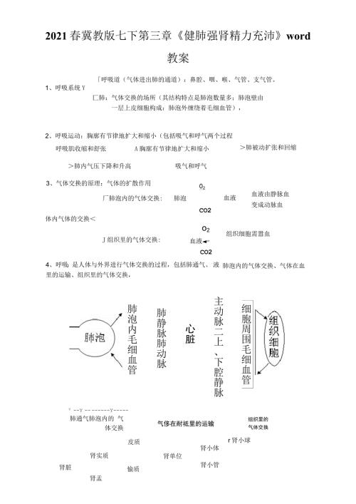 2021年春冀教版七下第三章健肺强肾精力充沛教案.docx