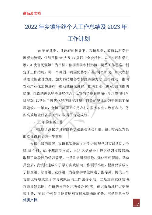 2022年乡镇年终个人工作总结及2023年工作计划.docx