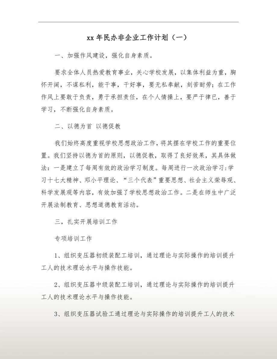 xx年民办非企业工作计划一.doc_第2页