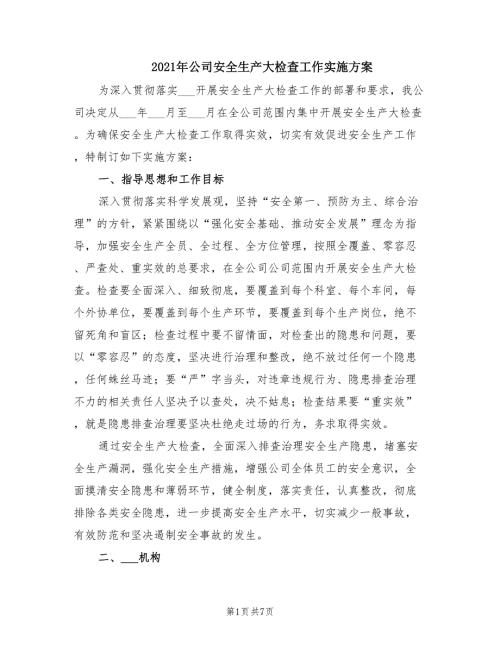 2021年公司安全生产大检查工作实施方案.doc