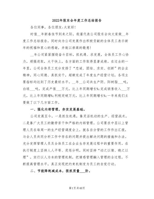 2022年股东会年度工作总结报告.doc