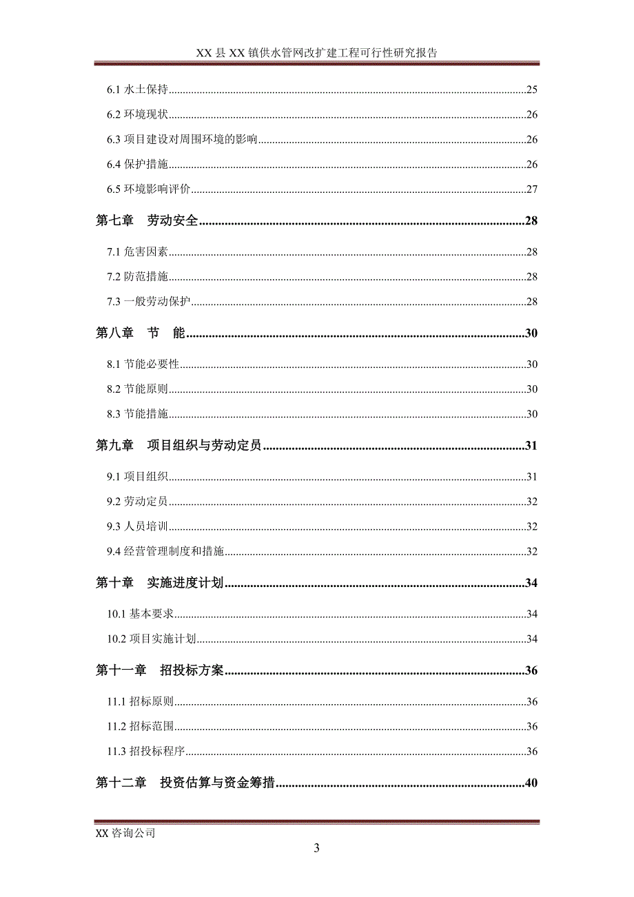 XX县XX乡镇供水管网改扩建工程可行性研究报告.doc_第3页