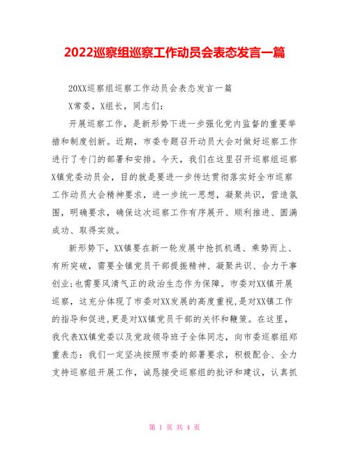 2022巡察组巡察工作动员会表态发言一篇.doc