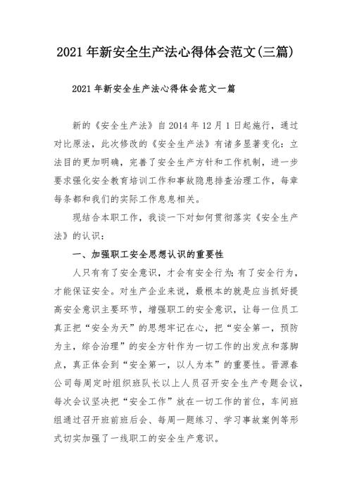 2021年新安全生产法心得体会范文三篇.docx