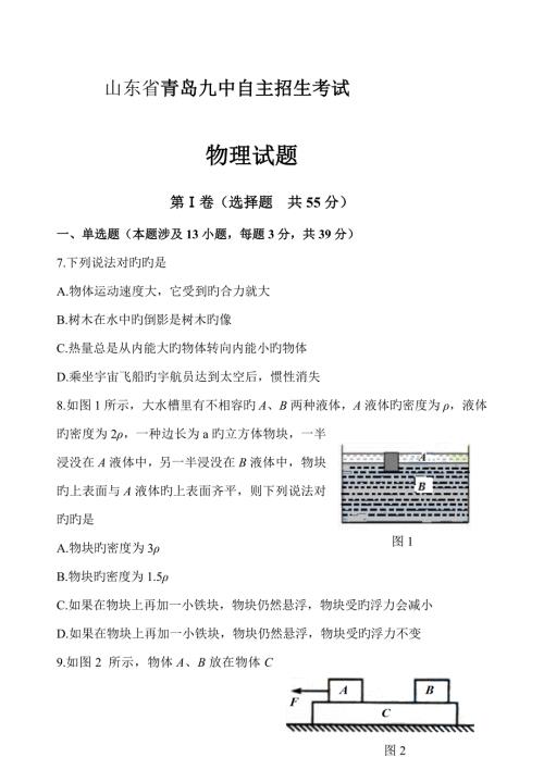 2022山东省青岛九中自主招生物理试题详解版.doc