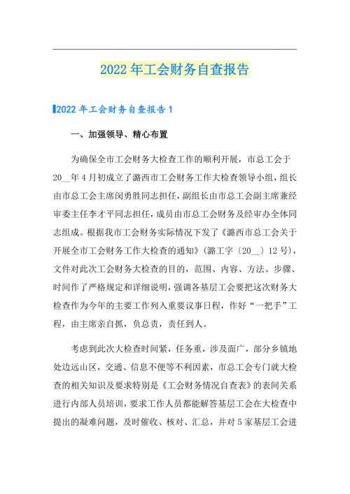 2022年工会财务自查报告.doc