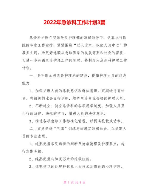 2022年急诊科工作计划3篇.doc