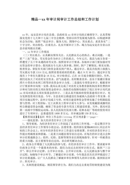 2021年审计局审计工作总结和工作计划.doc