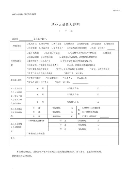 上海从业人员收入证明.docx