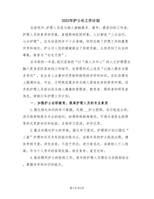 2022年护士长工作计划.doc