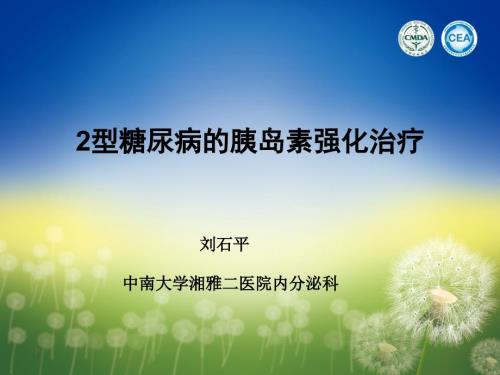 2型糖尿病的胰岛素强化治疗.ppt