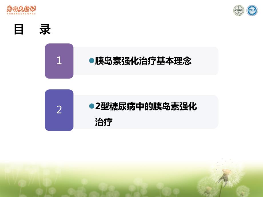 2型糖尿病的胰岛素强化治疗.ppt_第2页