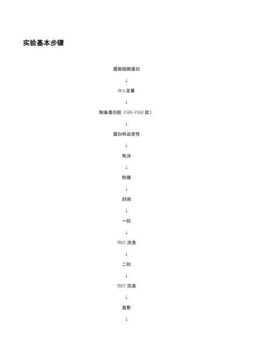 WB实验基本步骤.docx