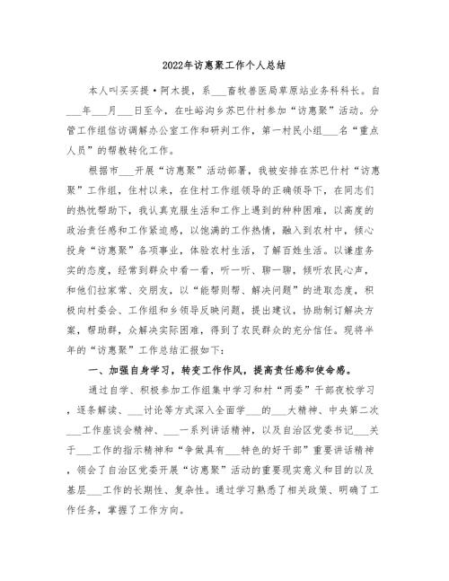 2022年访惠聚工作个人总结.doc