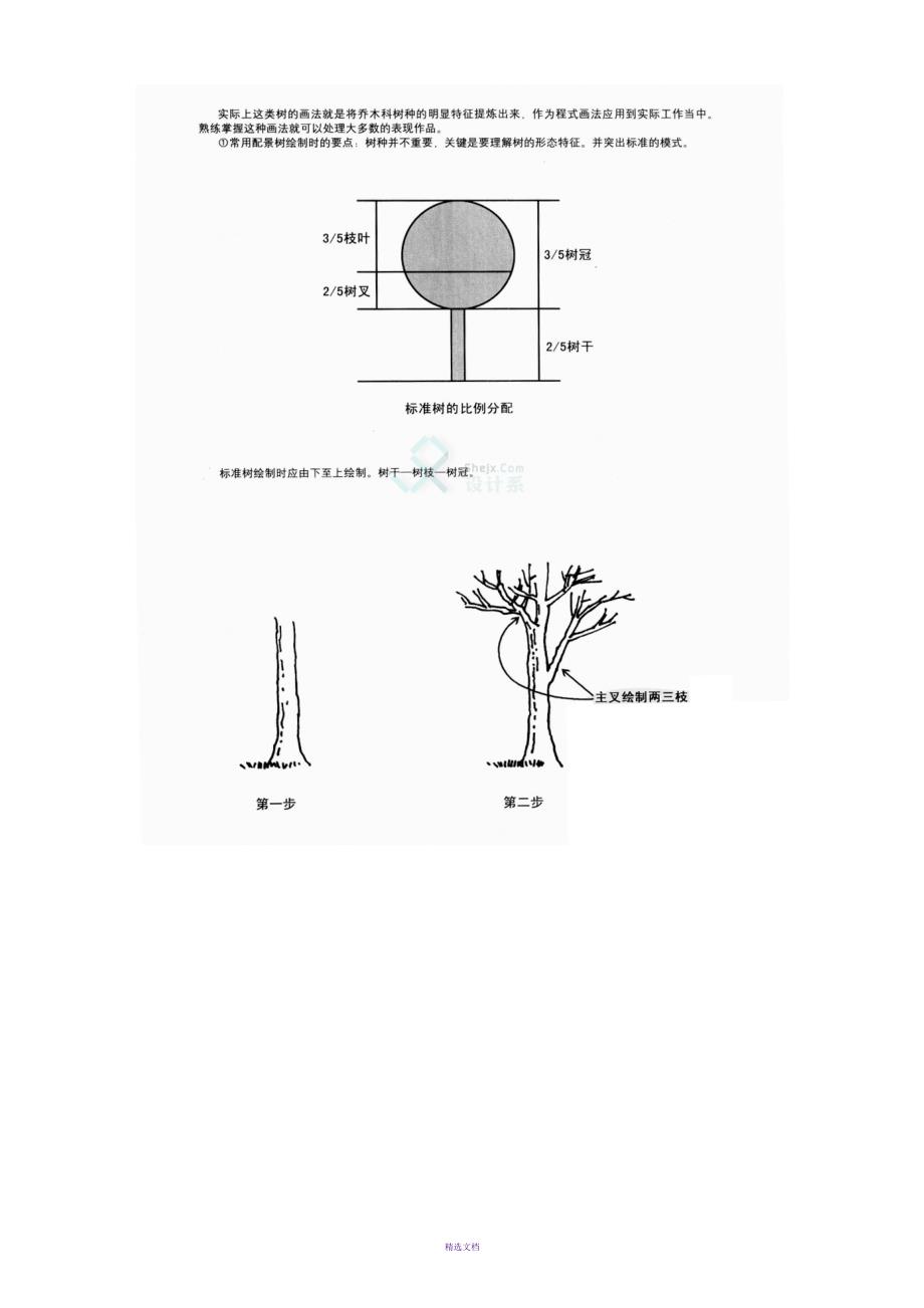 5-手绘植物单体线稿的画法技巧拓展练习及错误的画法.doc_第2页