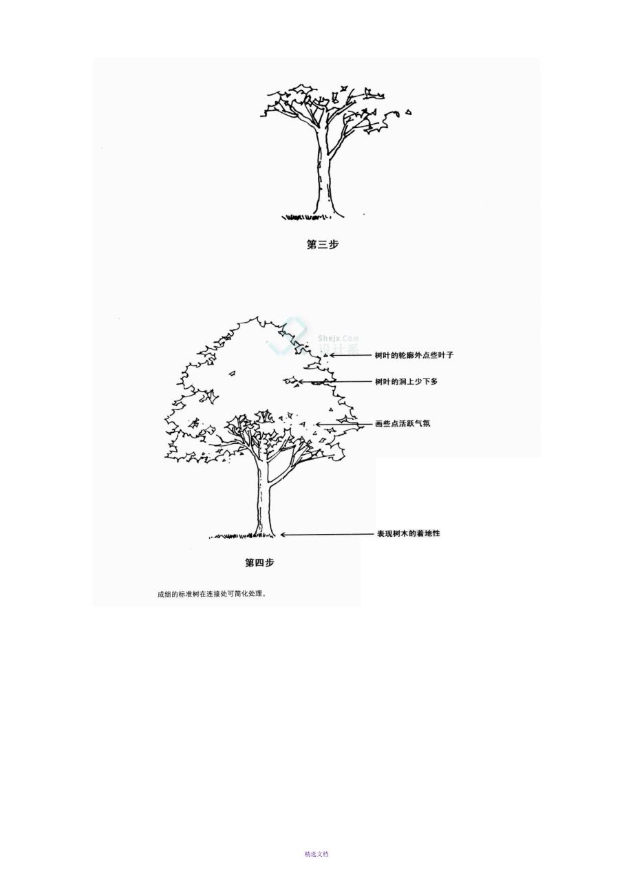 5-手绘植物单体线稿的画法技巧拓展练习及错误的画法.doc_第3页