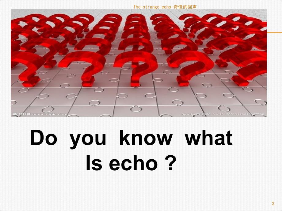 Thestrangeecho奇怪的回声课件.ppt_第3页