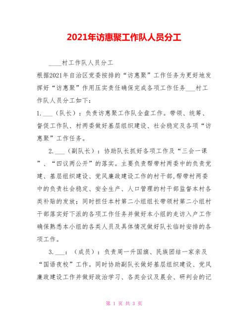 2021年访惠聚工作队人员分工.doc