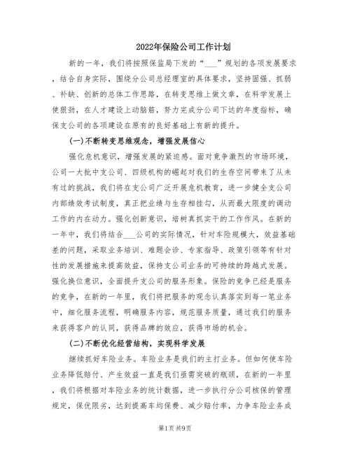 2022年保险公司工作计划.doc
