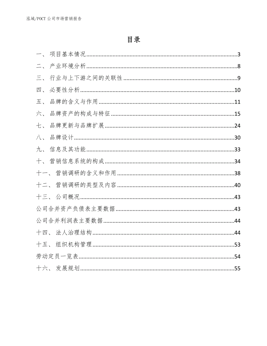 POCT公司市场营销报告范文.docx_第2页