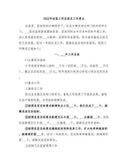 2022年动监工作总结及工作要点.doc
