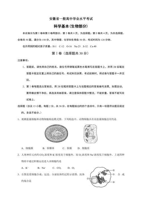 2022安徽省普通高中学业水平考试生物版.doc