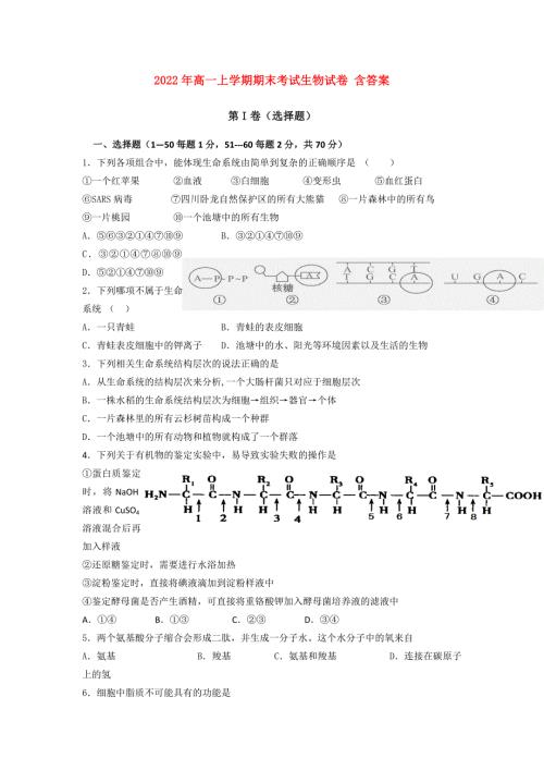 2022年高一上学期期末考试生物试卷含答案.doc
