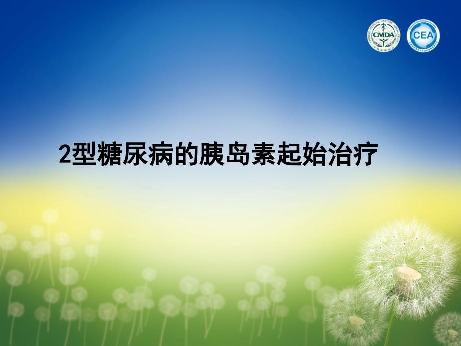 2型糖尿病胰岛素起始治疗课件.ppt_第3页