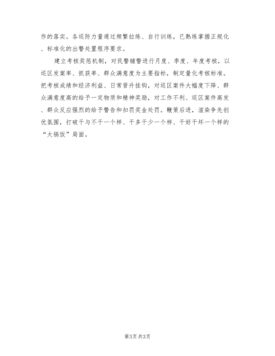 2022年公安分局巡特警大队巡防工作总结.doc_第3页