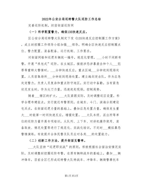 2022年公安分局巡特警大队巡防工作总结.doc