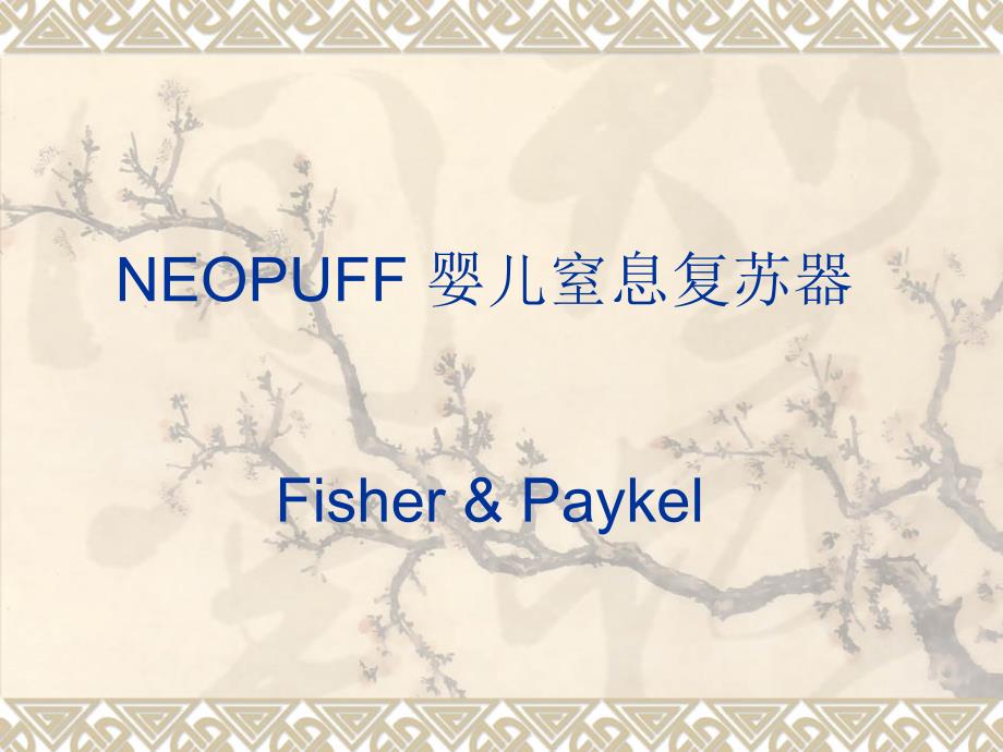T组合复苏器的介绍.ppt_第1页
