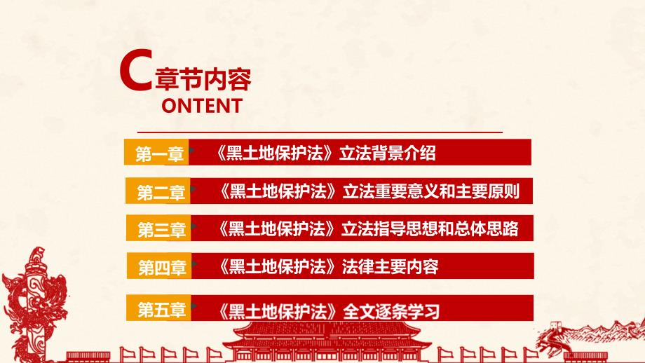 2022黑土地保护法主题教育PPT.ppt_第3页