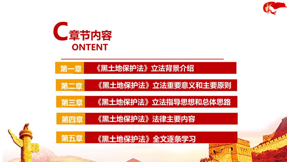 2022黑土地保护法PPT.ppt_第3页