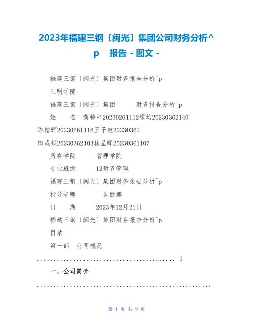 2023年福建三钢闽光集团公司财务分析报告.doc
