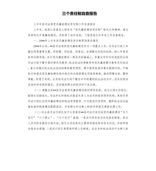 三个责任制自查报告.docx