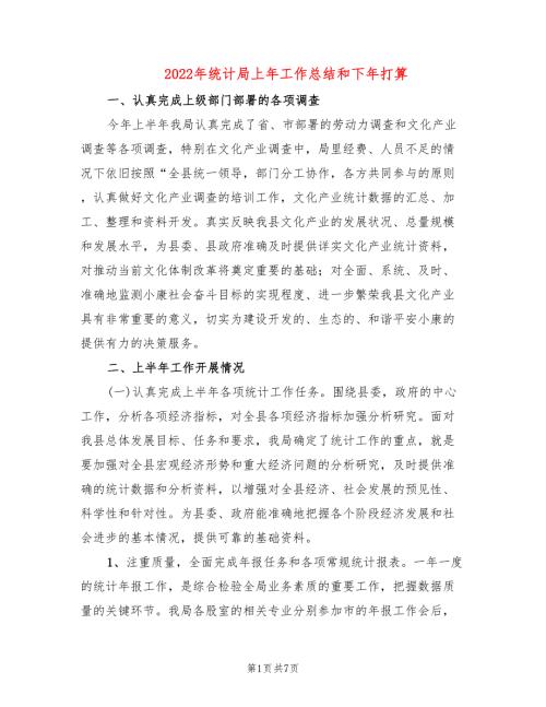 2022年统计局上年工作总结和下年打算.doc