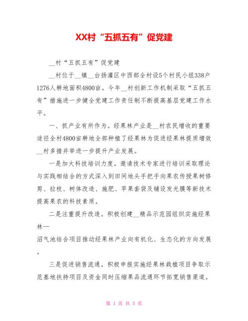 XX村五抓五有促党建.doc