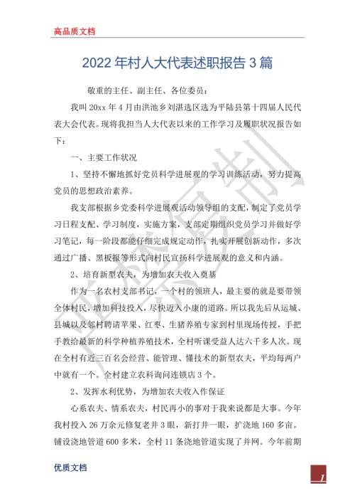 2022年村人大代表述职报告3篇.docx