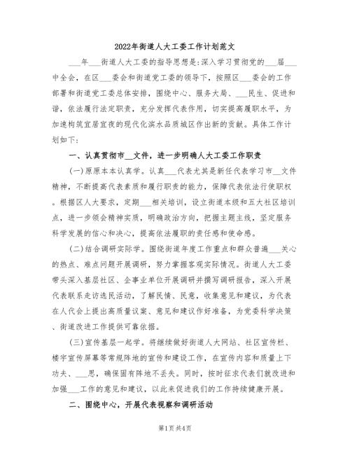 2022年街道人大工委工作计划范文.doc