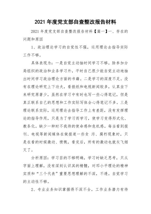 2021年度党支部自查整改报告材料.doc