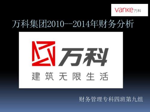 万科集团财务报表分析.ppt