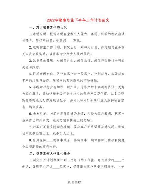 2022年销售总监下半年工作计划范文.doc
