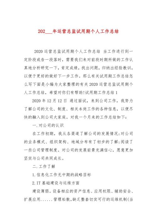 2021年运营总监试用期个人工作总结.docx