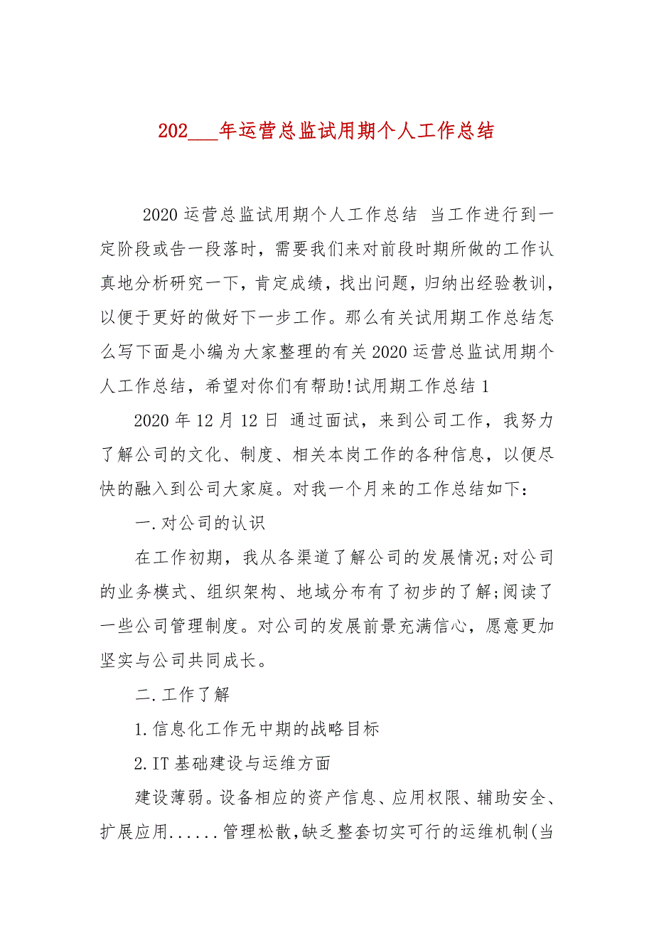 2021年运营总监试用期个人工作总结.docx_第1页