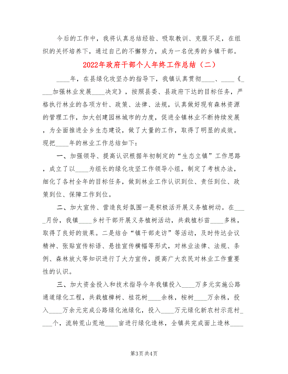 2022年政府干部个人年终工作总结.doc_第3页