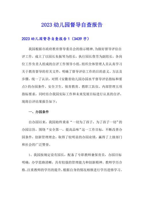 2023幼儿园督导自查报告.doc
