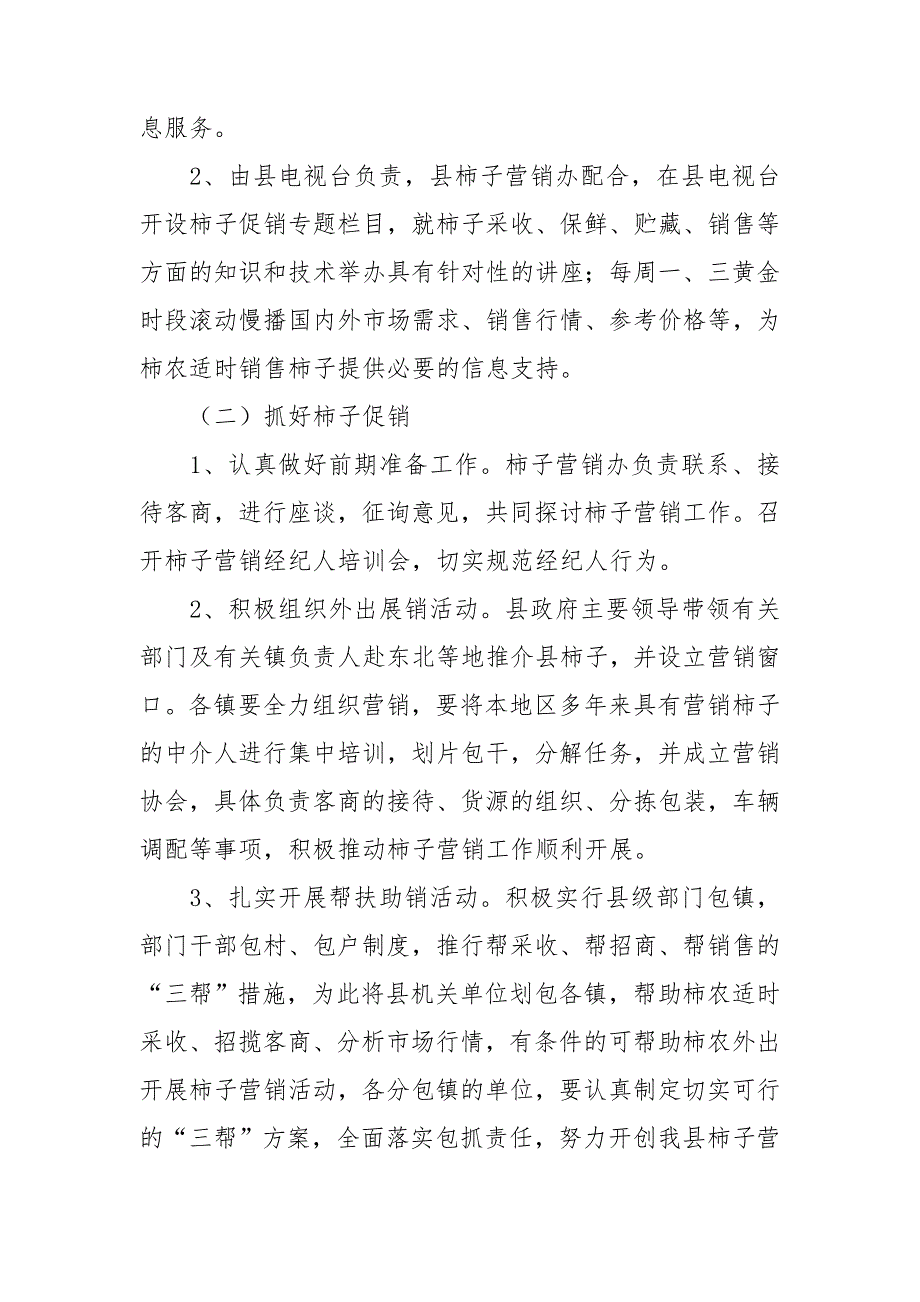 2021年柿子营销活动方案3篇.doc_第2页